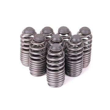 Picture of Skunk2 Racing SK Tuner Valve Springs Valve Springs, Retainers - 312-05-0200