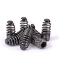 Picture of Skunk2 Racing SK Tuner Valve Springs Valve Springs, Retainers - 312-05-0200