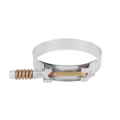 Picture of Mishimoto MM T-Bolt Clamps - MMCLAMP-375T
