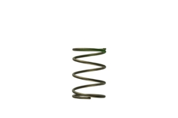 Picture of Turbosmart TS Wastegate Springs - TS-0550-3087
