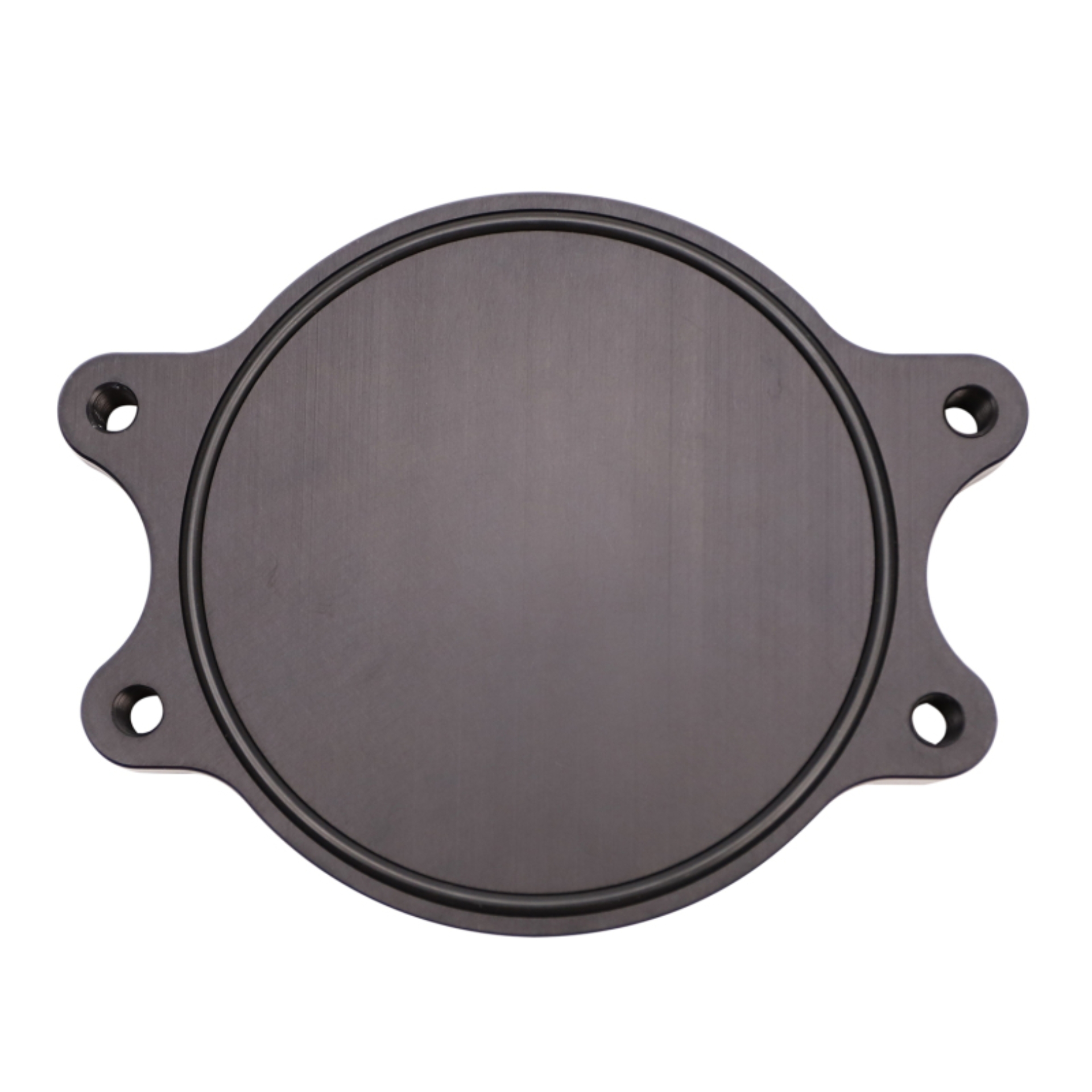 Picture of Wehrli WCF Block Off Plate - WCF100024