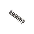 Picture of B3 OE Replacement - Coil Spring