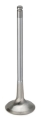 Picture of Supertech SPT Exhaust Valves - BMEVI-1036