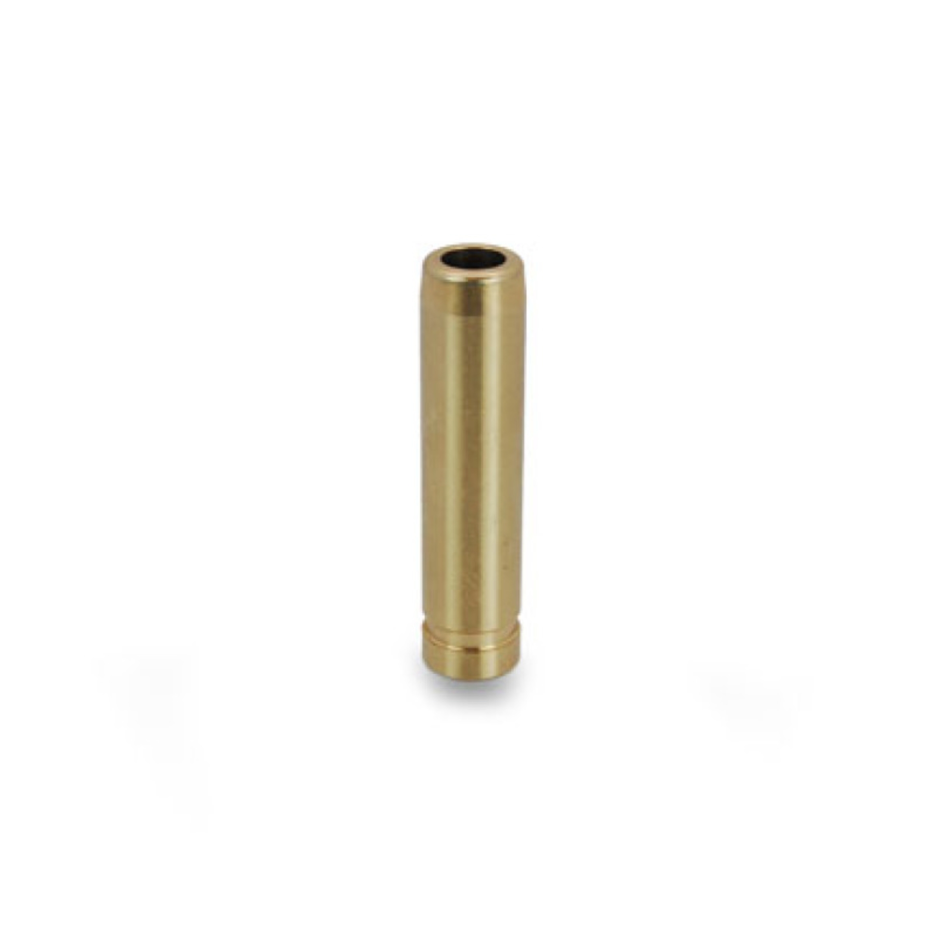 Picture of Supertech SPT Valve Guides - GDE-NSR6-E