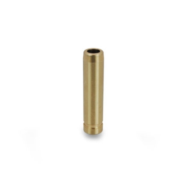 Picture of Supertech SPT Valve Guides - GDE-NSR6-E