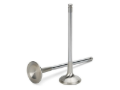 Picture of Supertech SPT Exhaust Valves - HEVI-1008