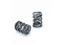 Picture of Supertech SPT Dual Valve Springs Valve Springs, Retainers - SPR-H100DR