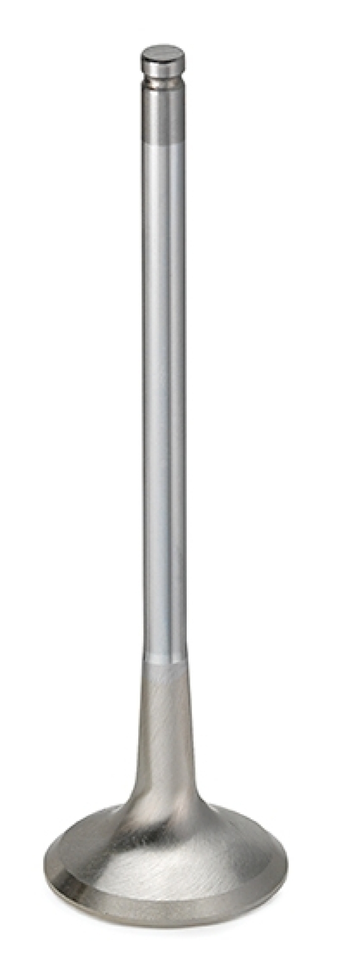Picture of Supertech SPT Exhaust Valves - TEVI-1007