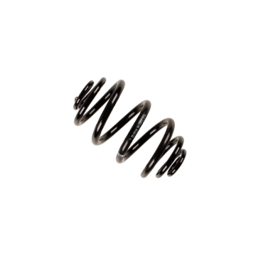 Picture of B3 OE Replacement - Coil Spring