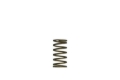 Picture of Turbosmart TS Wastegate Springs - TS-0550-3089
