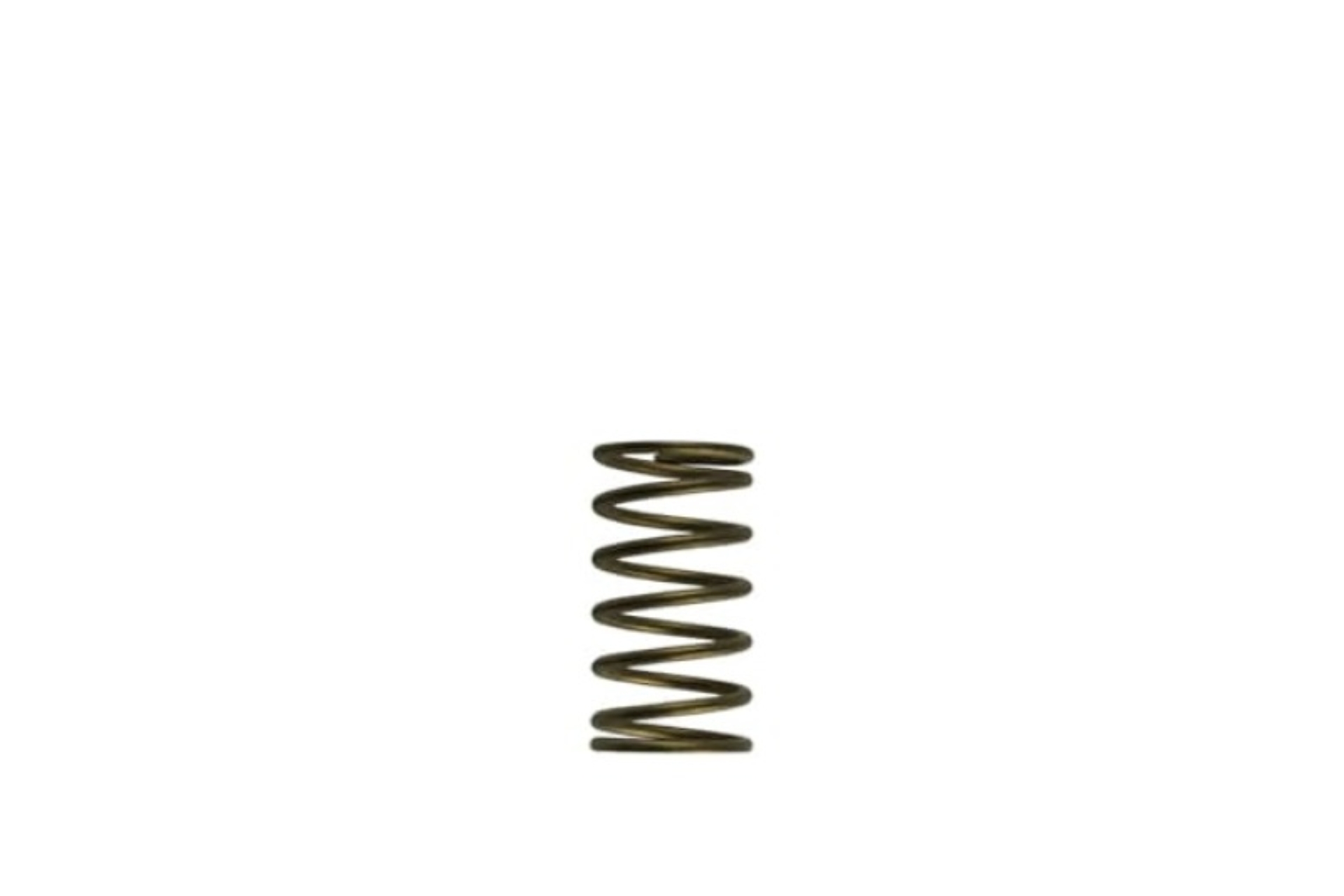 Picture of Turbosmart TS Wastegate Springs - TS-0550-3089