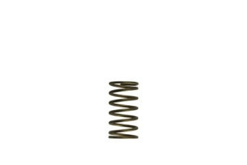 Picture of Turbosmart TS Wastegate Springs - TS-0550-3089