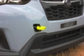 Picture of Perrin Performance PA Tow Hooks - PSP-BDY-237NY