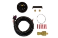 Picture of AEM Digital Gauges - 30-0307