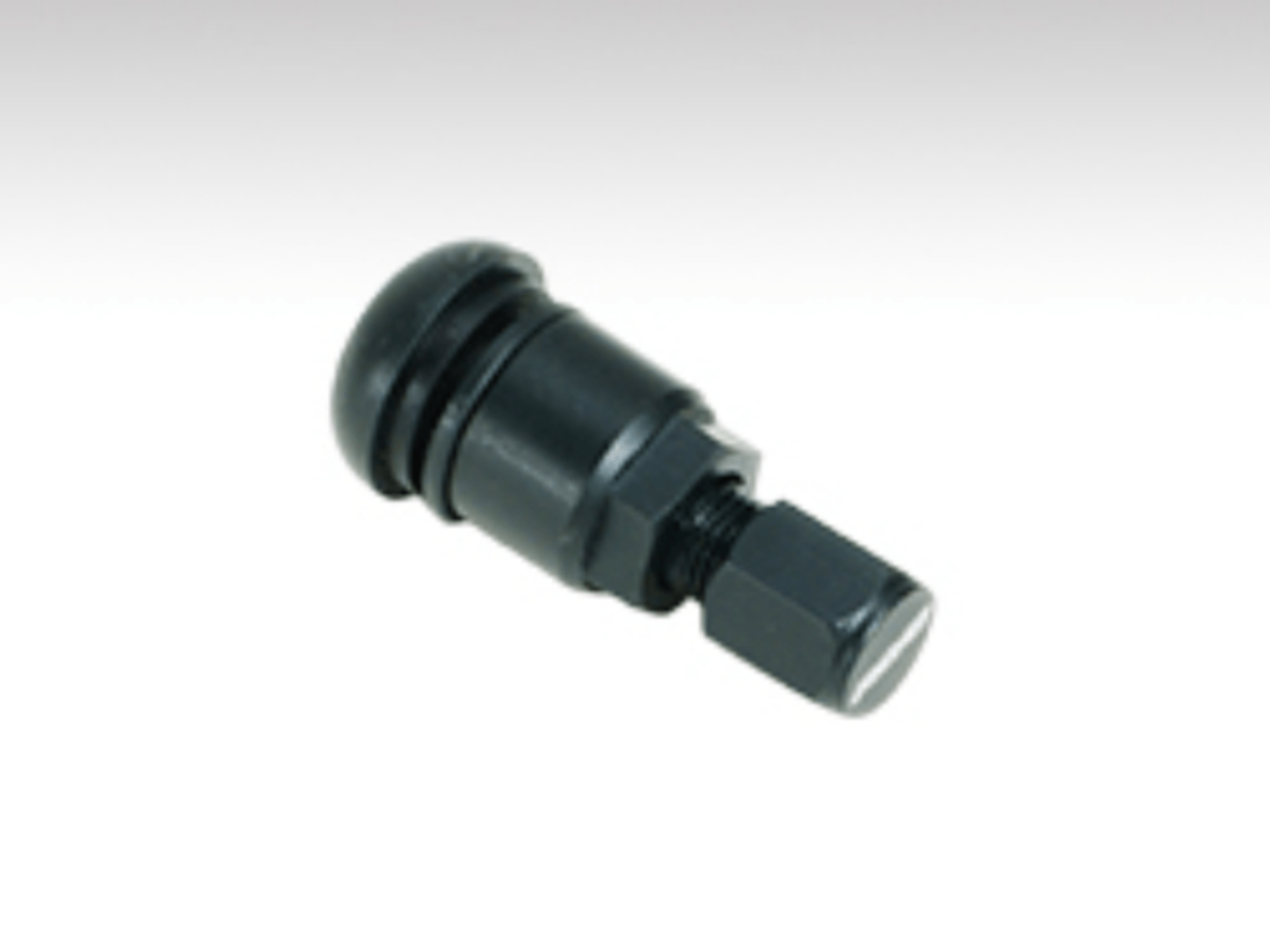 Picture of Rays RAY Valve Stems - W3GVS44