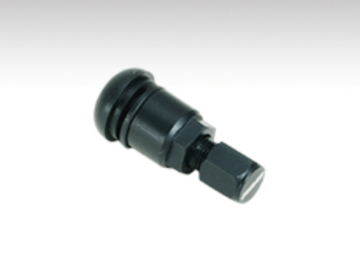 Picture of Rays RAY Valve Stems - W3GVS44