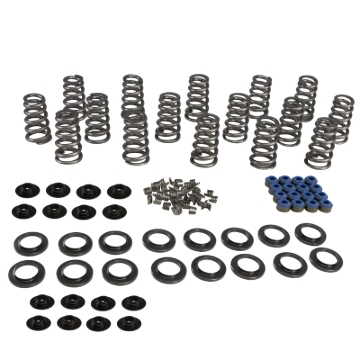 Picture of KIT, CONICAL SPRING, .660+ LIF T, 2009 UP 5.7L EAGLE, 6.2L HE LLCAT, 6.4L APACHE