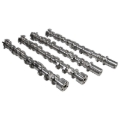 Picture of CAMSHAFT SET, FORD 5.0L COYOTE 2018+, STG2 NSR