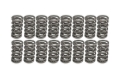 Picture of DUAL VALVE SPRING, 1.301" OD, .700" LIFT, LS7 LT1 LT4