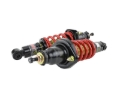 Picture of Skunk2 Racing SK Pro-ST Coilovers - 541-05-8700