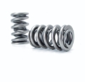 Picture of DUAL VALVE SPRING, 1.301" OD, .700" LIFT, LS7 LT1 LT4