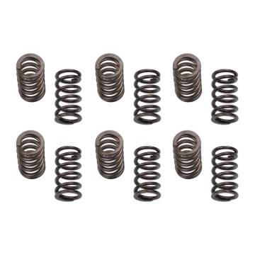 Picture of Industrial Injection IND PDM Valve Springs Valve Springs, Retainers - 24G801