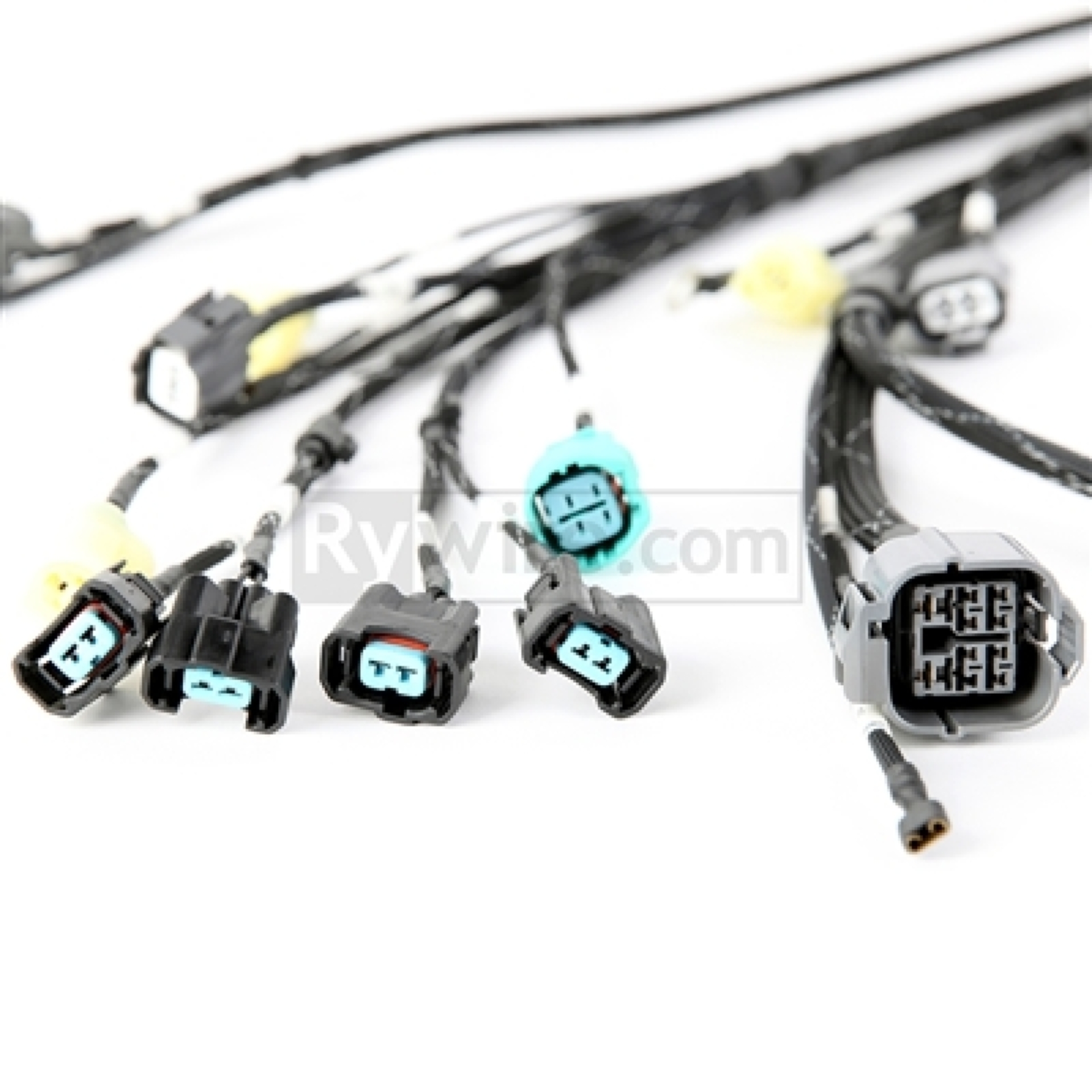 Picture of Rywire RYW Budget Engine Harnesses Wiring Harnesses - RY-B2-BASE