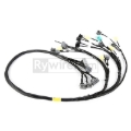 Picture of Rywire RYW Budget Engine Harnesses Wiring Harnesses - RY-B2-BASE