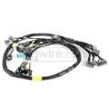 Picture of Rywire RYW Budget Engine Harnesses Wiring Harnesses - RY-B2-BASE