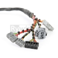 Picture of Rywire RYW Mil-Spec Engine Harnesses Wiring Harnesses - RY-B2-MILSPEC