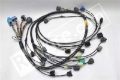 Picture of Rywire RYW Mil-Spec Engine Harnesses Wiring Harnesses - RY-S2K-MILSPEC