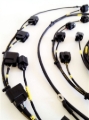 Picture of Rywire RYW Mil-Spec Engine Harnesses Wiring Harnesses - RY-S2K-MILSPEC