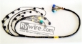 Picture of Rywire RYW Mil-Spec Engine Harnesses Wiring Harnesses - RY-S2K-MILSPEC