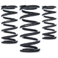 Picture of AST Linear Race Springs Coilover Springs - AST-100-190-61