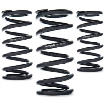 Picture of AST Linear Race Springs Coilover Springs - AST-100-190-61
