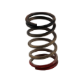 Picture of Turbosmart TS Wastegate Springs - TS-0550-3112