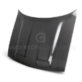 Picture of Anderson Composites AND Hoods - AC-HD19DGCHHC-RE