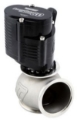 Picture of Turbosmart TS E-WG60 Power-Gate Wastegates - TS-0555-1502