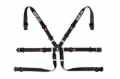 Picture of SPARCO SPA 6PT Harness/Belt Seat Belts & Harnesses - 04819H2NR