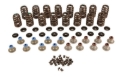 Picture of KIT, VALVE SPRING- BEEHIVE 1.28" O.D. LS6 PLUS-W/ STEEL RETAINERS