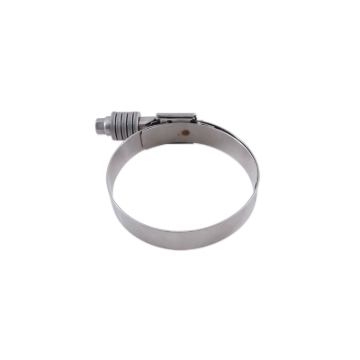 Picture of Mishimoto MM Worm Gear Clamps - MMCLAMP-CTWG-54