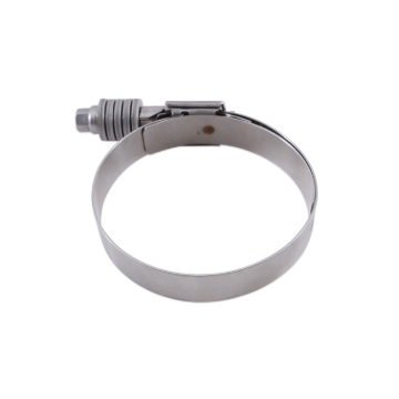 Picture of Mishimoto MM Worm Gear Clamps - MMCLAMP-CTWG-117