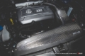 Picture of AMS Air Intakes Short Ram Air Intakes - AMS.21.08.0001-1
