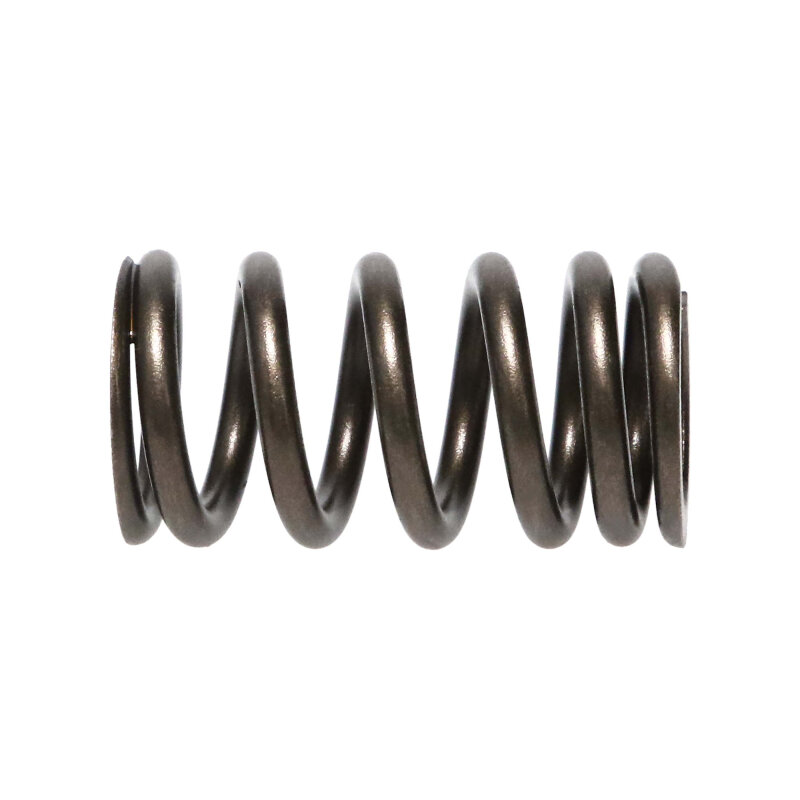 Picture of Manley Performance MAN Valve Spring Kits Valve Springs, Retainers - 22195-16