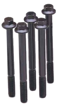 Picture of ARP Stainless Steel Bolts - 765-1010