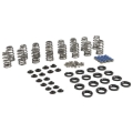 Picture of KIT, BEEHIVE SPRING, .600+ LIF T, 2009 UP 5.7L EAGLE, 6.2L HE LLCAT, 6.4L APACHE