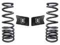 Picture of ICON ICO Spring Kits Lift Springs - 214010