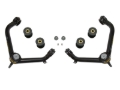 Picture of ICON ICO Upper Control Arms - 218550DJ