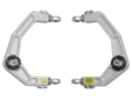Picture of ICON ICO Upper Control Arms - 98505DJ