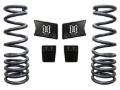 Picture of ICON ICO Spring Kits Lift Springs - 212500